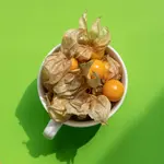 Physalis