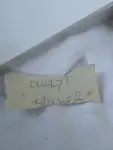 Okolyt
