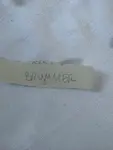 Brummer