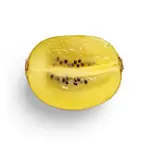 Honigmelone