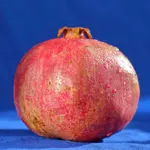 granatapfel