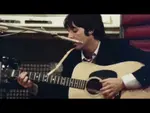 Blackbird