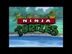 Teenage Mutant Hero Turtles