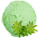 Waldmeister