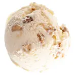 Macadamia