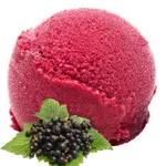 Schwarze Johannisbeere